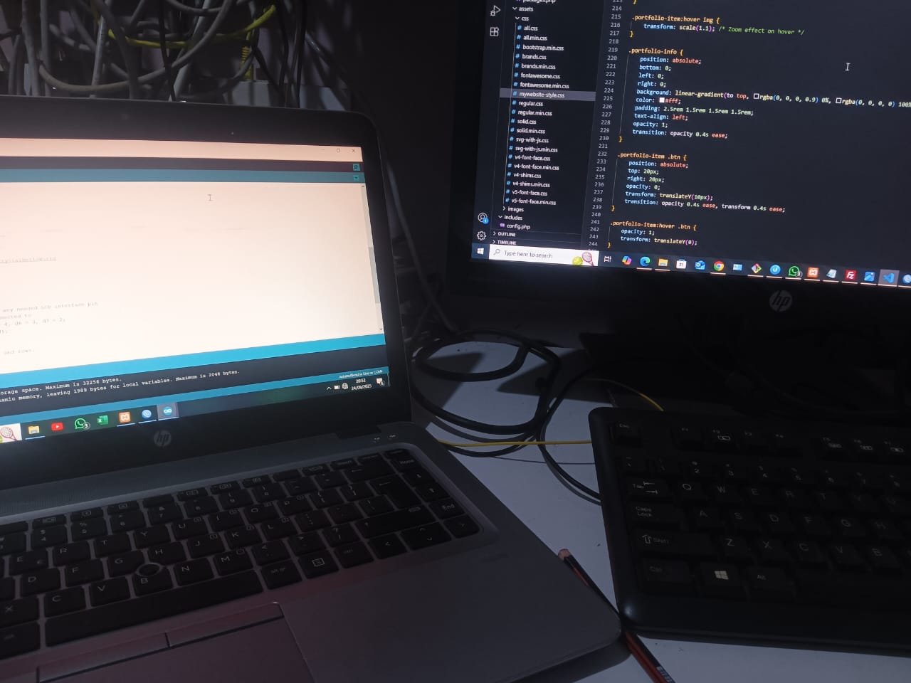 Web development project